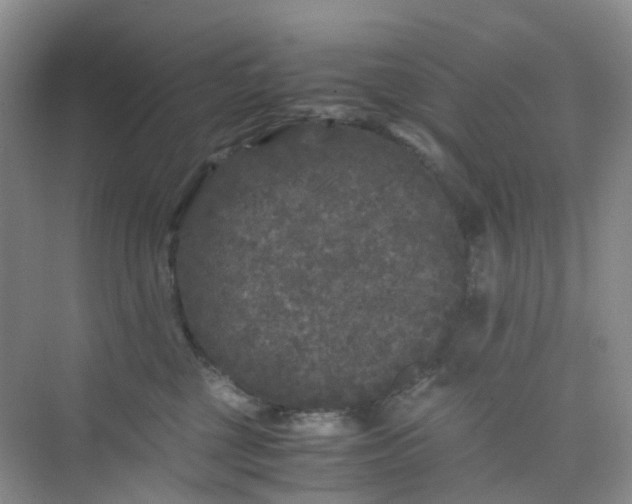 X0000075920377200609291831