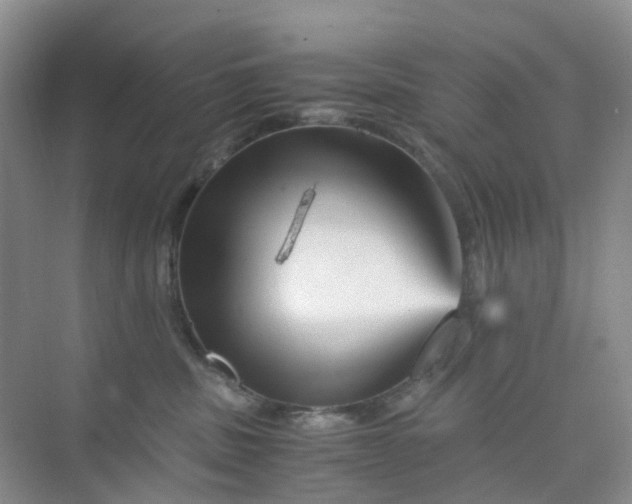 X0000075920379200609291831