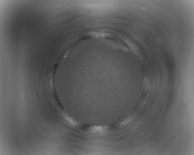 X0000075920381200609291831