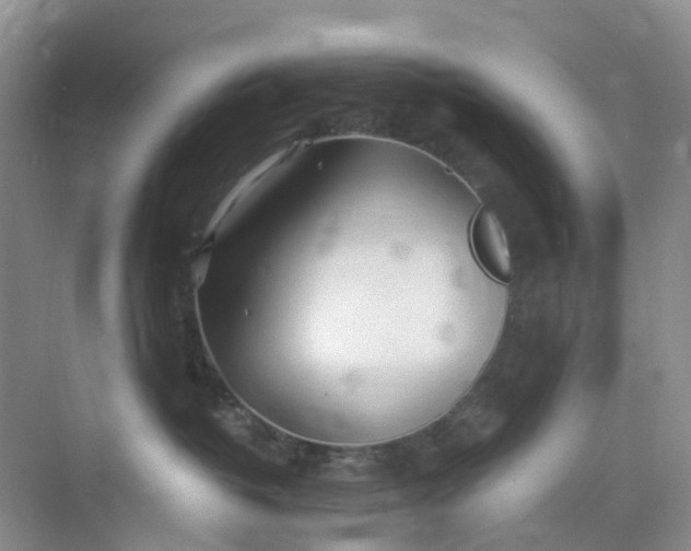 X0000075920382200609291831