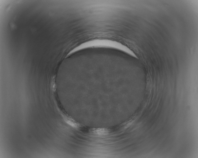 X0000075920383200609291831