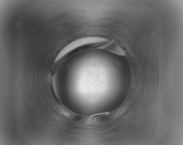 X0000075920384200609291831