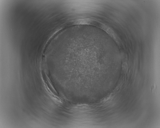 X0000075920386200609291830