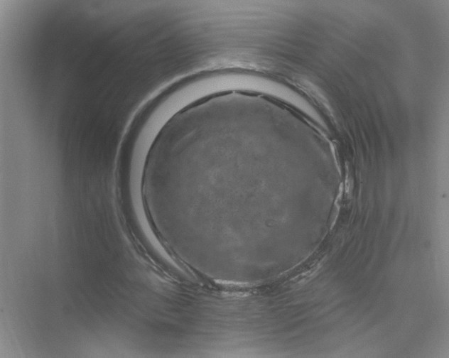 X0000075920388200609291830