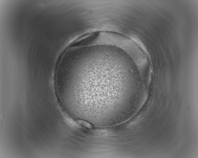 X0000075920389200609291830