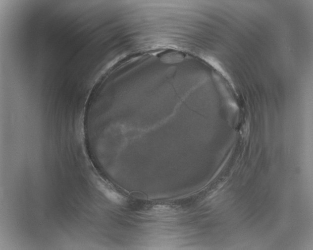 X0000075920390200609291830