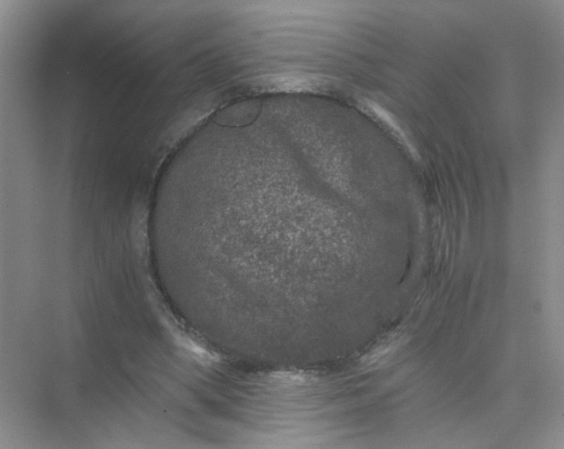 X0000075920394200609291830