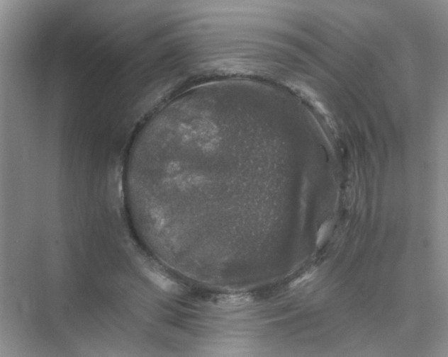 X0000075920398200609291830