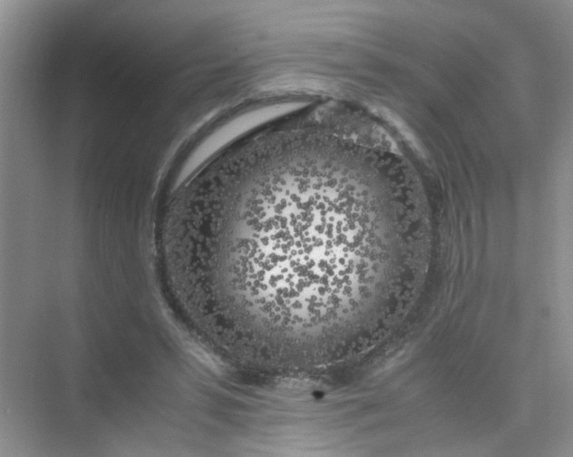 X0000075920399200609291830