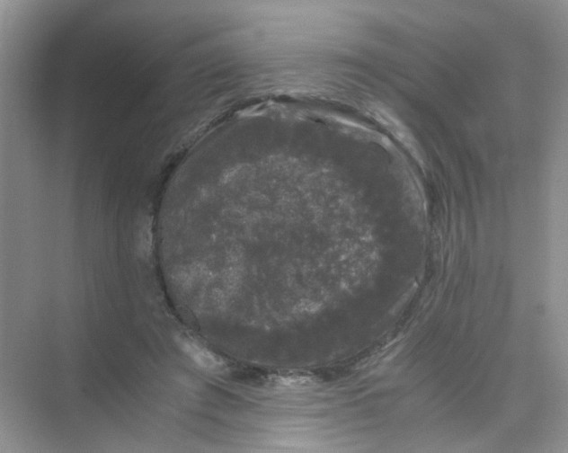 X0000075920401200609291830