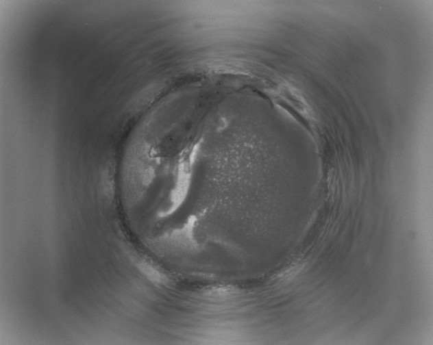 X0000075920402200609291830