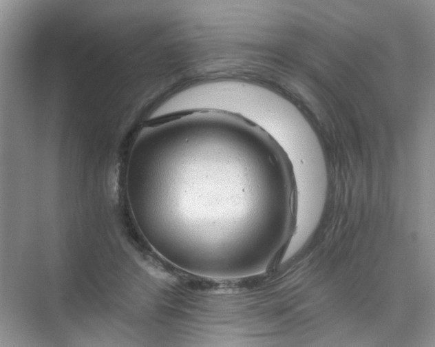 X0000075920404200609291830