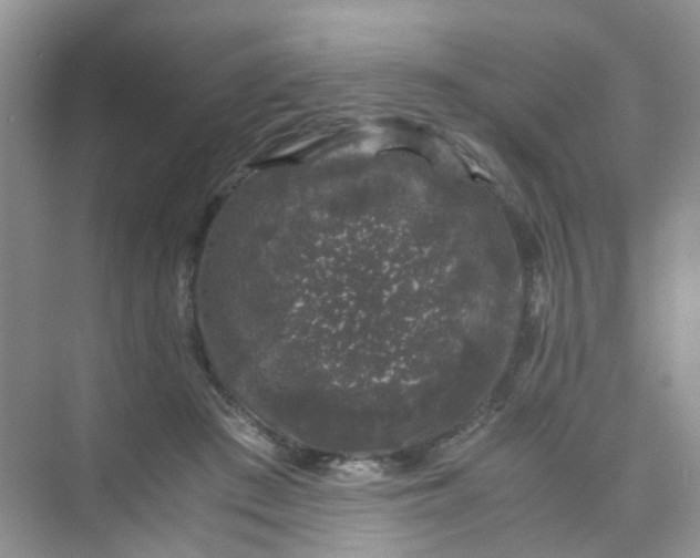 X0000075920409200609291829