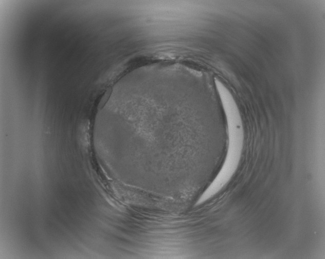 X0000075920413200609291829