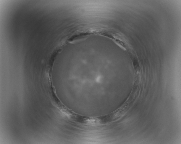 X0000075920415200609291829