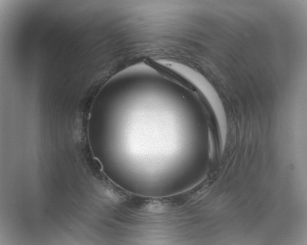 X0000075920416200609291829