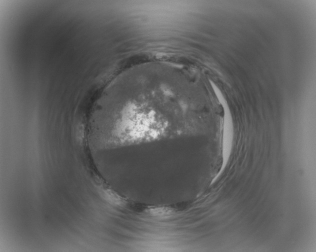 X0000075920417200609291829