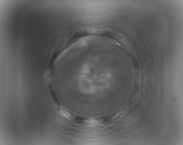 X0000075920419200609291829