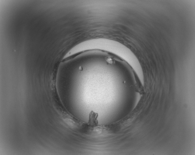 X0000075920420200609291829