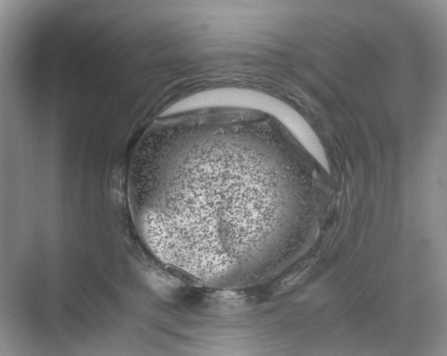 X0000075920421200609291829