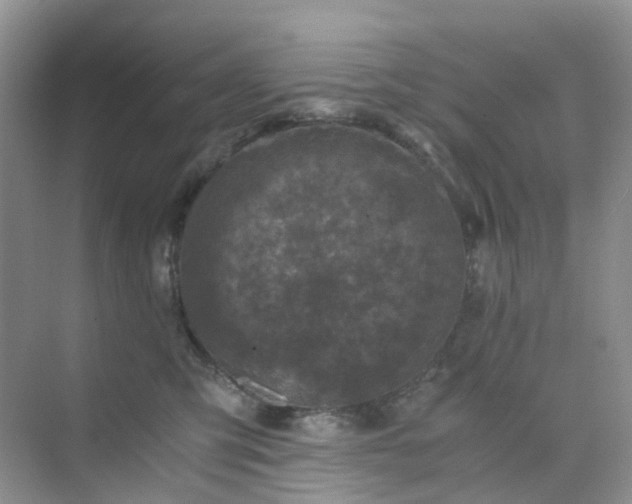 X0000075920423200609291829