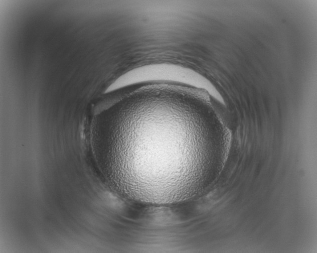 X0000075920424200609291829