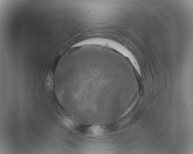 X0000075920425200609291829