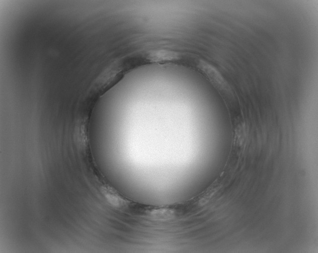 X0000075920426200609291829