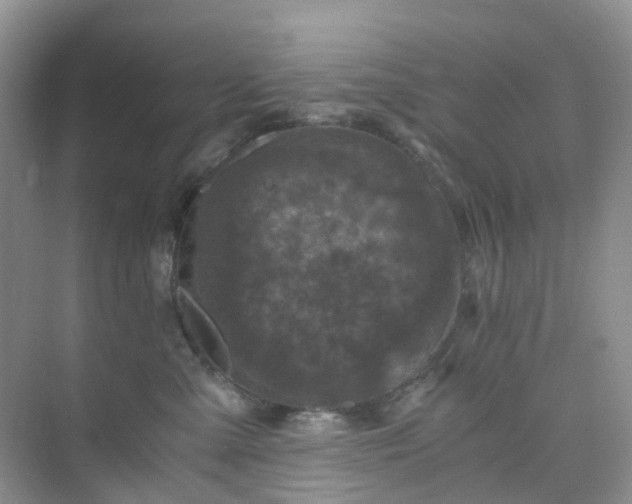 X0000075920427200609291829