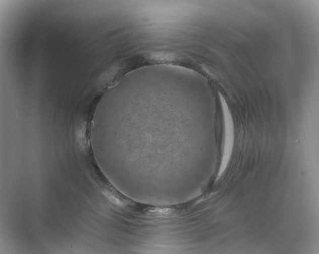 X0000075920428200609291829