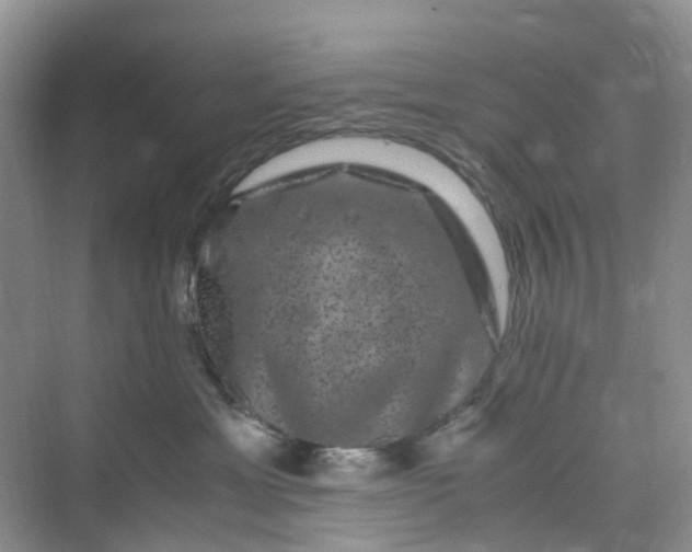 X0000075920429200609291829