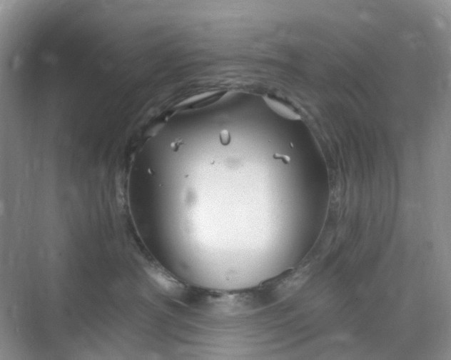 X0000075920430200609291829