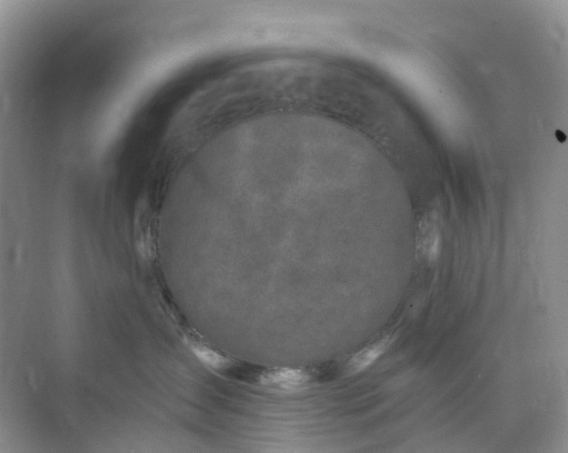 X0000075920431200609291829