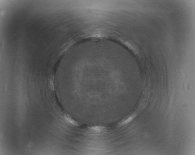 X0000075920432200609291829