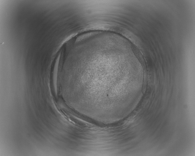 X0000075920434200609291828