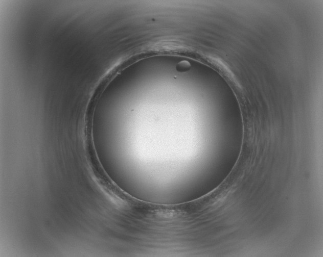 X0000075920439200609291828