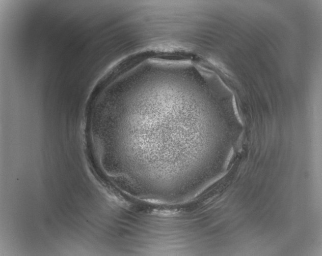 X0000075920440200609291828