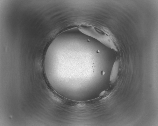 X0000075920441200609291828