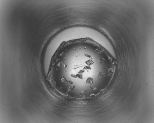 X0000075920443200609291828