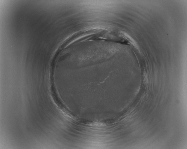 X0000075920444200609291828