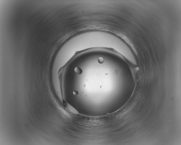 X0000075920445200609291829