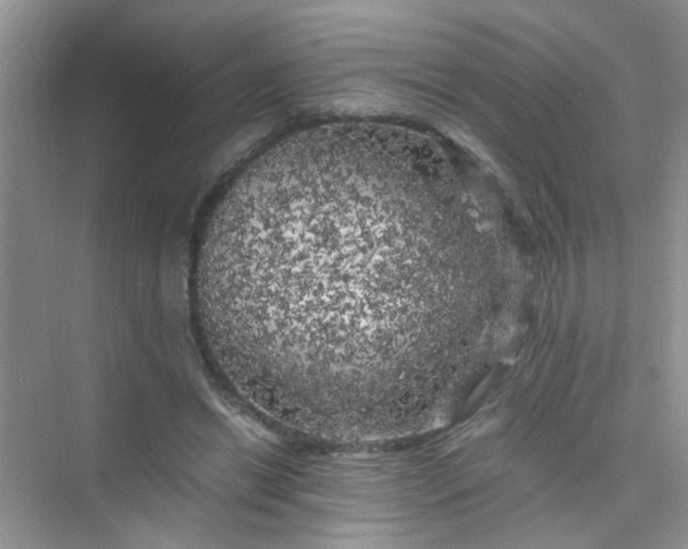 X0000075920446200609291829