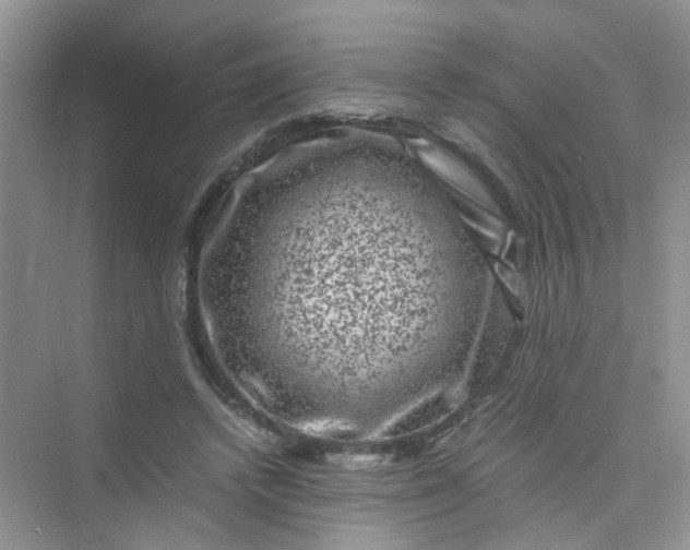 X0000075920448200609291829