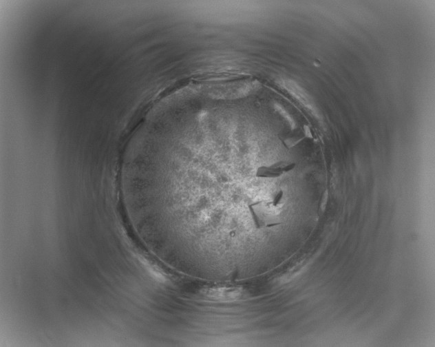 X0000075920449200609291829