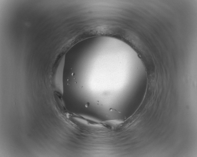 X0000075920450200609291829