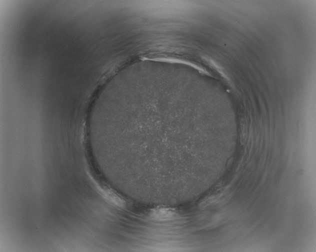 X0000075920451200609291829