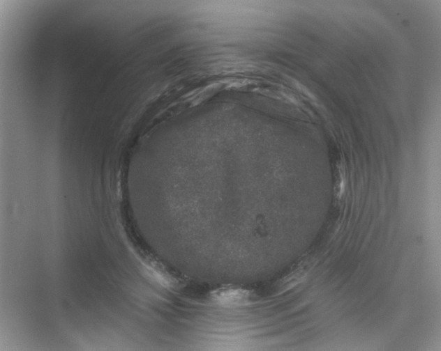 X0000075920452200609291829