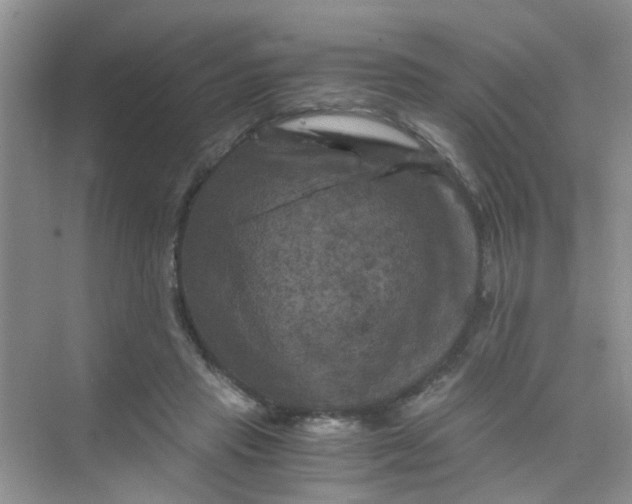 X0000075920453200609291829