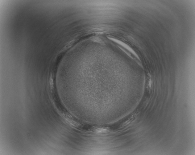 X0000075920456200609291829