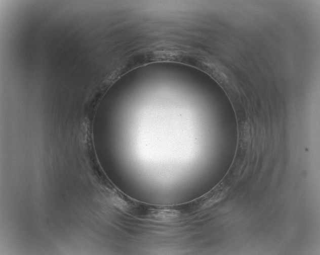 X0000075920463200609291829